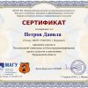 Олимпиада по программированию МАГУ 2017 год Петров Данила